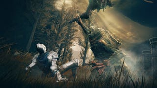 A monster battling the Tarnished in Elden Ring's Shadow of the Erdtree DLC.