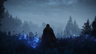 The Tarnished stands at the entrance of the Cerulean Coast in Elden Ring Shadow of the Erdtree